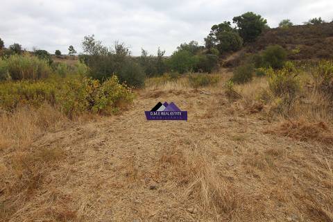 Terreno para Agricultura