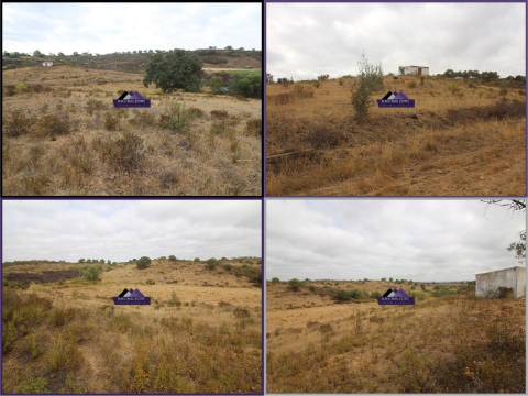 Terreno para Agricultura
