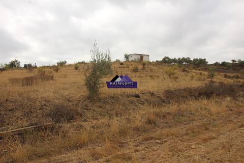 Terreno para Agricultura