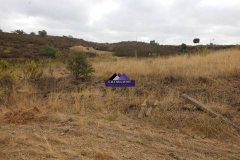 Terreno para Agricultura