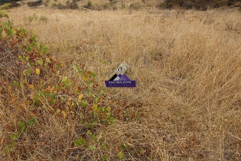 Terreno para Agricultura