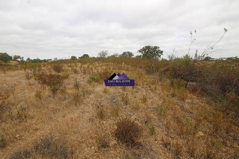 Terreno para Agricultura