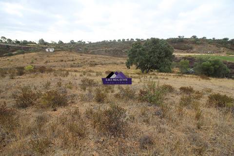 Terreno para Agricultura