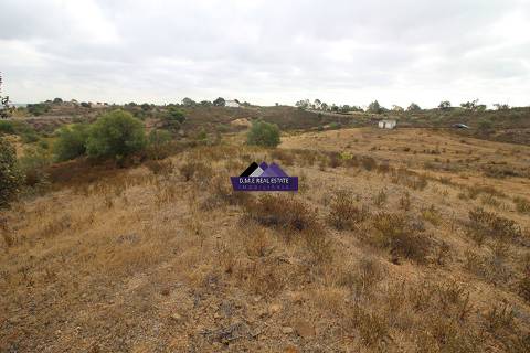 Terreno para Agricultura