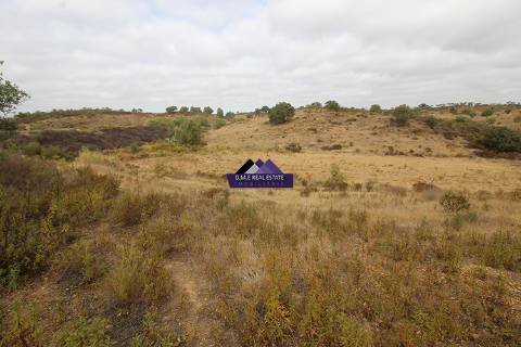 Terreno para Agricultura