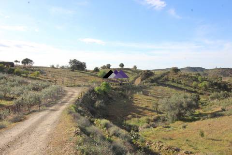 Terrenos Rústicos - 2 Artigos