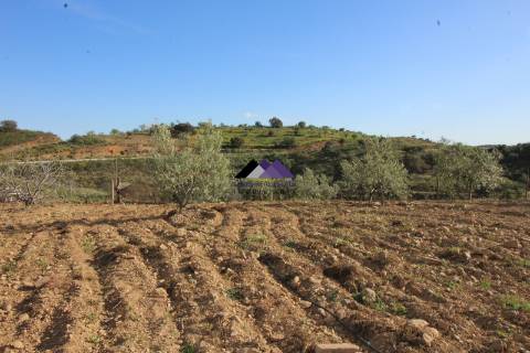 Terrenos Rústicos - 2 Artigos