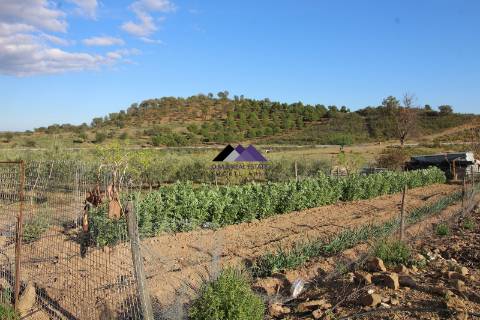 Terrenos Rústicos - 2 Artigos