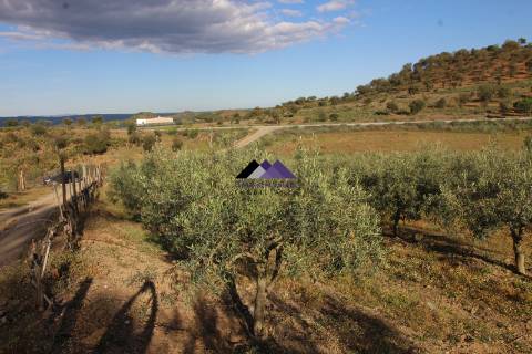 Terrenos Rústicos - 2 Artigos