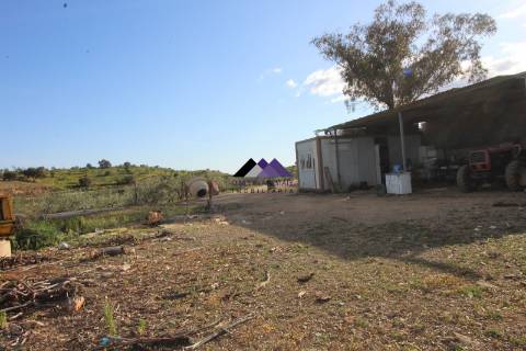 Terrenos Rústicos - 2 Artigos