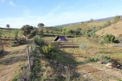 Terrenos Rústicos - 2 Artigos