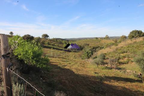 Terrenos Rústicos - 2 Artigos