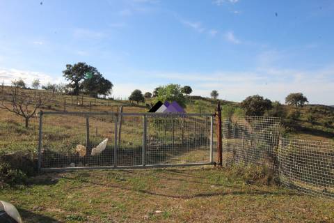 Terrenos Rústicos - 2 Artigos