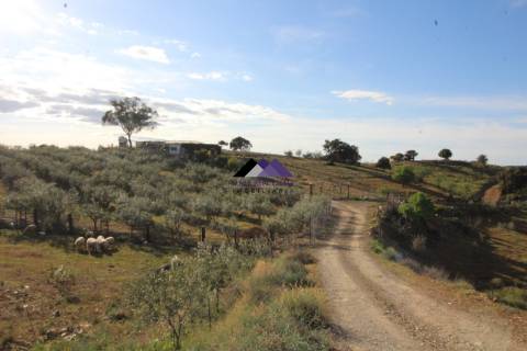 Terrenos Rústicos - 2 Artigos