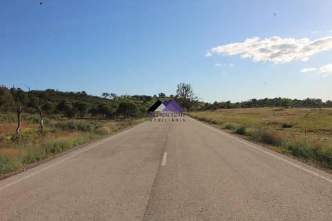 Terrenos Rústicos - 2 Artigos