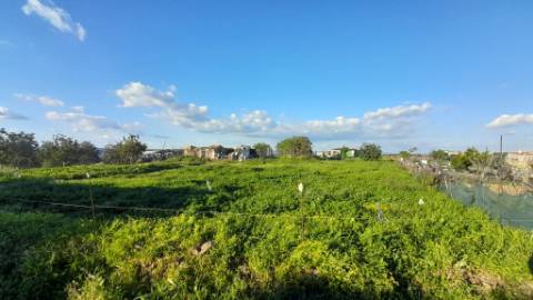 Terreno Urbano de 840 m²