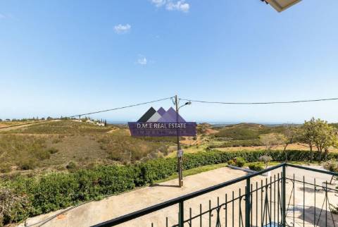 Moradia Independente de Prestígio com Vista Campo | Espaço Comercial + Habitação | Lote 4.590 m² | Terreno Misto