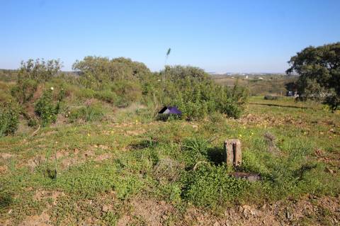 Terreno Rústico | 34.000 m² | Corga da Madeira - Junqueira, Castro Marim