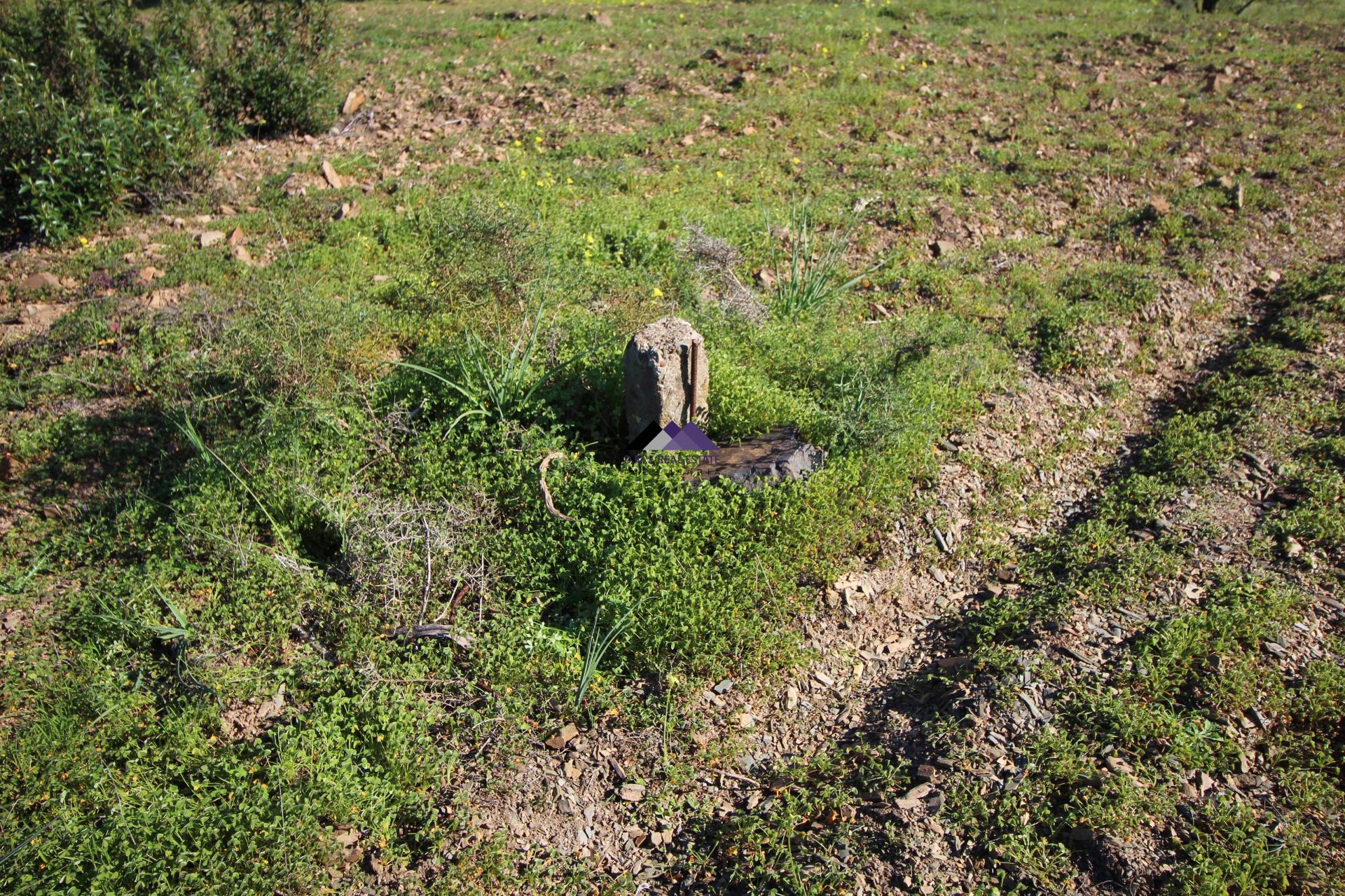 Terreno Rústico | 34.000 m² | Corga da Madeira - Junqueira, Castro Marim