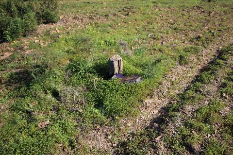 Terreno Rústico | 34.000 m² | Corga da Madeira - Junqueira, Castro Marim