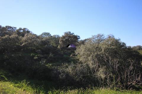 Terreno Rústico | 34.000 m² | Corga da Madeira - Junqueira, Castro Marim