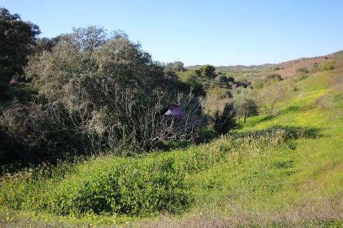 Terreno Rústico | 34.000 m² | Corga da Madeira - Junqueira, Castro Marim