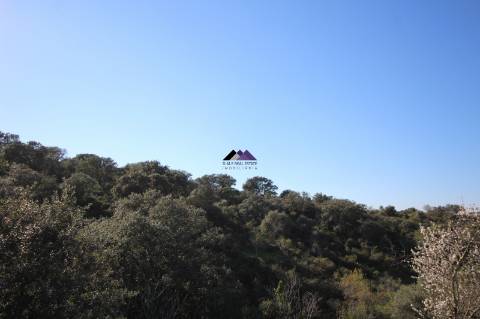 Terreno Rústico | 34.000 m² | Corga da Madeira - Junqueira, Castro Marim