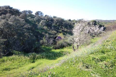 Terreno Rústico | 34.000 m² | Corga da Madeira - Junqueira, Castro Marim