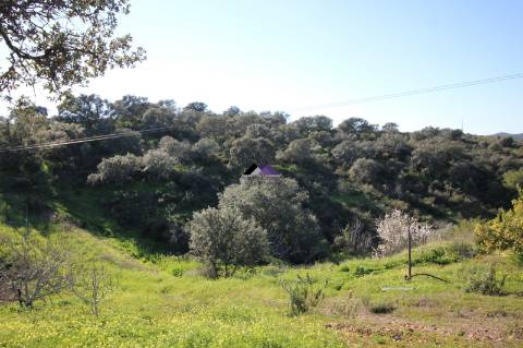 Terreno Rústico | 34.000 m² | Corga da Madeira - Junqueira, Castro Marim