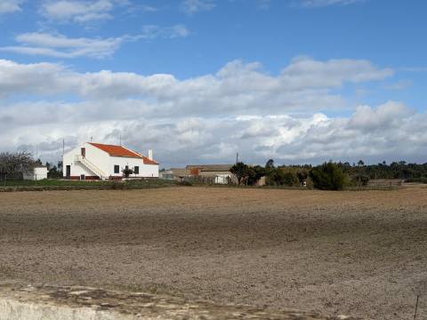 Herdade c/ habitação T4 - Aljezur