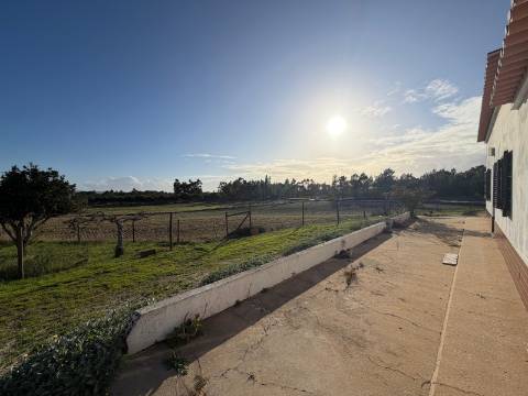 Herdade c/ habitação T4 - Aljezur