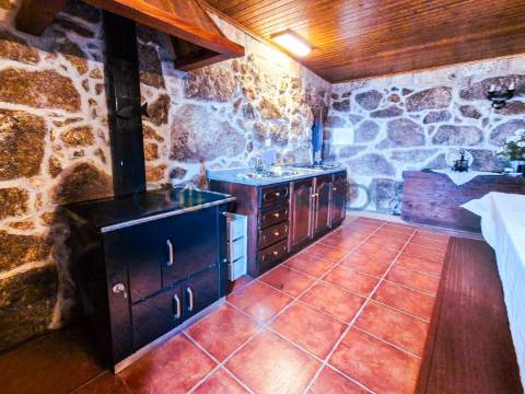 Quinta com 5250 m² & Moradia T1 em Pedra – Baião