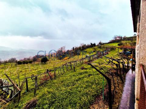 Quinta com 5250 m² & Moradia T1 em Pedra – Baião