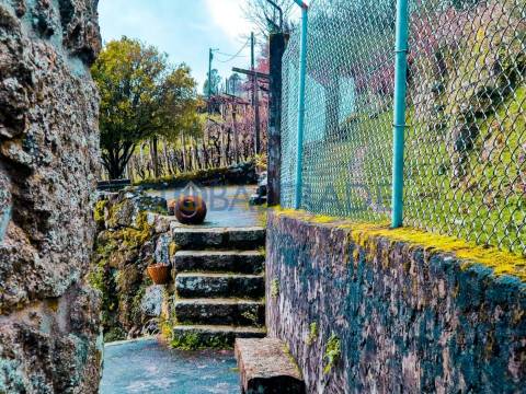 Quinta com 5250 m² & Moradia T1 em Pedra – Baião