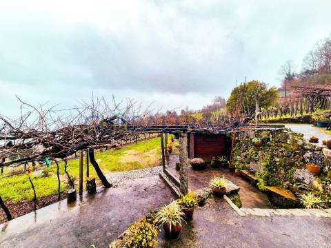 Quinta com 5250 m² & Moradia T1 em Pedra – Baião