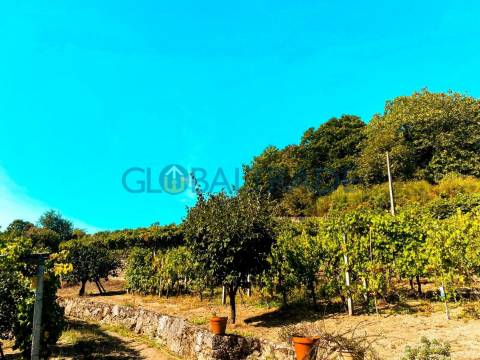 Quinta com 5250 m² & Moradia T1 em Pedra – Baião