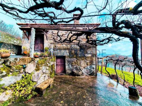 Quinta com 5250 m² & Moradia T1 em Pedra – Baião