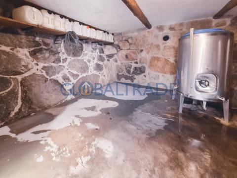 Quinta com 5250 m² & Moradia T1 em Pedra – Baião