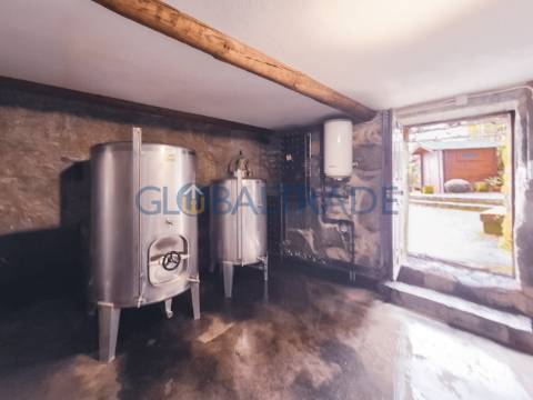 Quinta com 5250 m² & Moradia T1 em Pedra – Baião