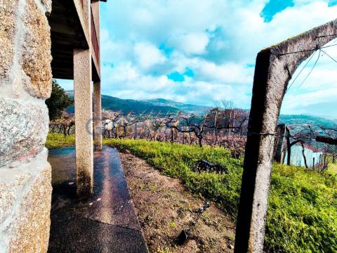 Quinta com 5250 m² & Moradia T1 em Pedra – Baião