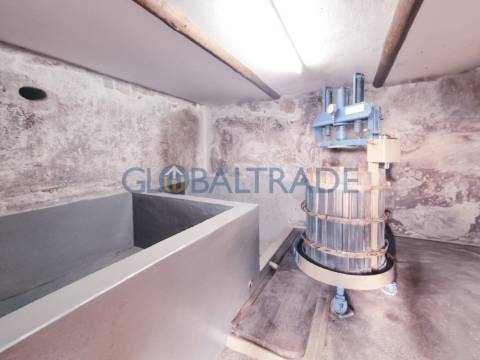 Quinta com 5250 m² & Moradia T1 em Pedra – Baião