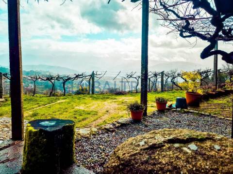 Quinta com 5250 m² & Moradia T1 em Pedra – Baião