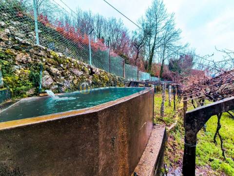 Quinta com 5250 m² & Moradia T1 em Pedra – Baião