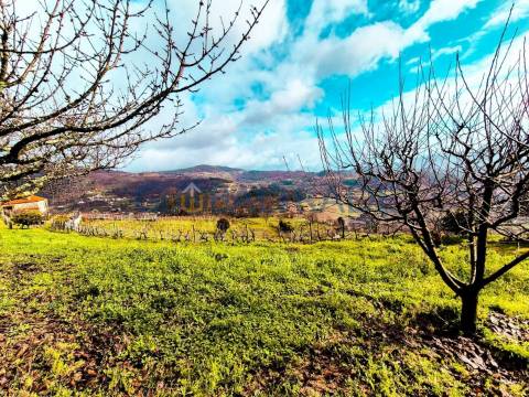 Quinta com 5250 m² & Moradia T1 em Pedra – Baião