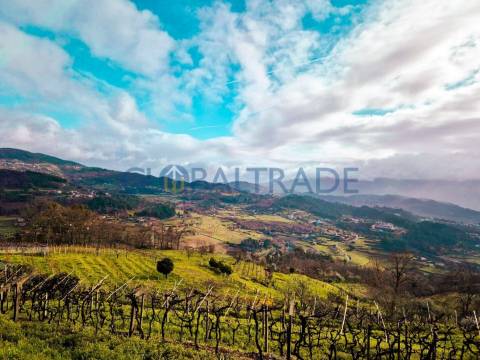 Quinta com 5250 m² & Moradia T1 em Pedra – Baião