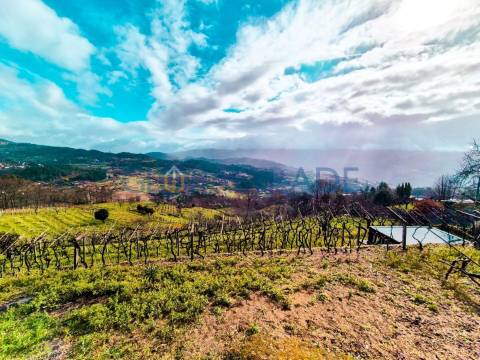 Quinta com 5250 m² & Moradia T1 em Pedra – Baião