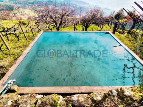 Quinta com 5250 m² & Moradia T1 em Pedra – Baião