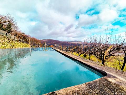 Quinta com 5250 m² & Moradia T1 em Pedra – Baião