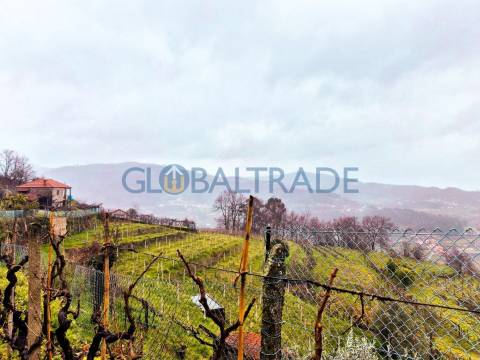 Quinta com 5250 m² & Moradia T1 em Pedra – Baião