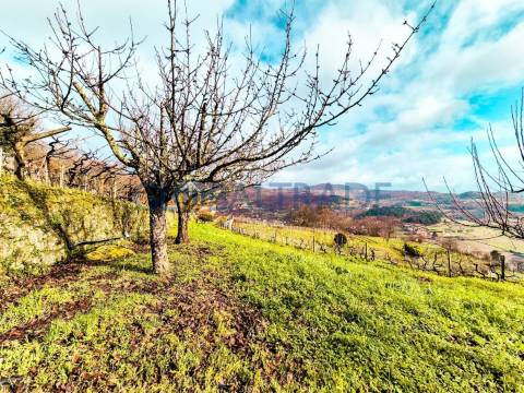 Quinta com 5250 m² & Moradia T1 em Pedra – Baião